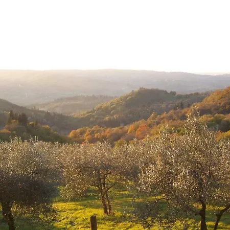 مزرعة للإقامة Antico Borgo Di Sugame