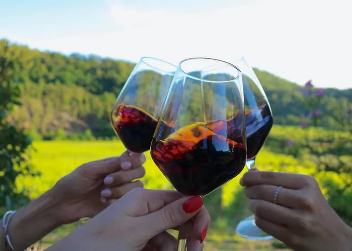 ファームステイ Antico Borgo Di Sugame *