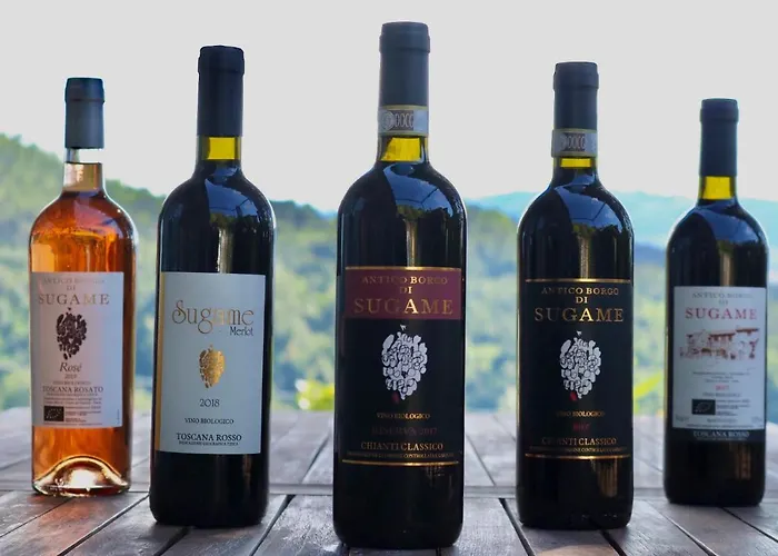 ファームステイ Antico Borgo Di Sugame グレーヴェ・イン・キアンティ