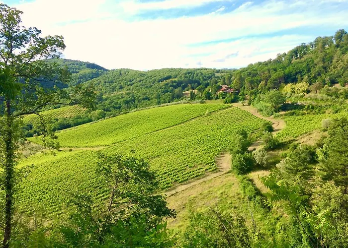 Antico Borgo Di Sugame * グレーヴェ・イン・キアンティ